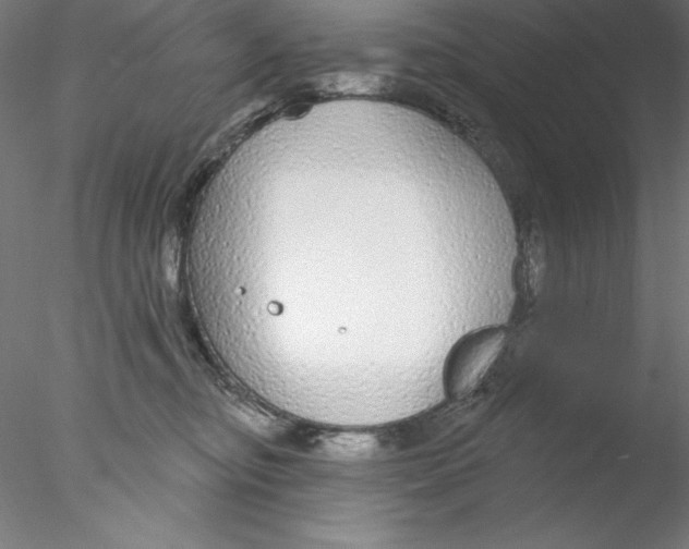 X0000076420374200611031820