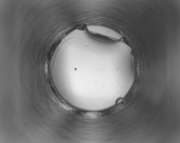 X0000076420375200611031820