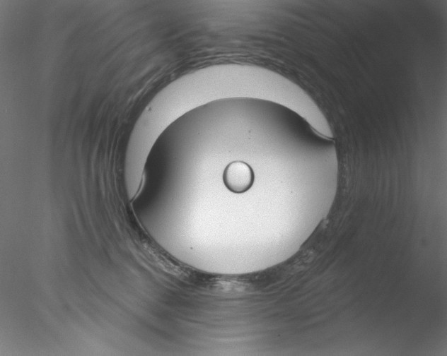 X0000076420376200611031820