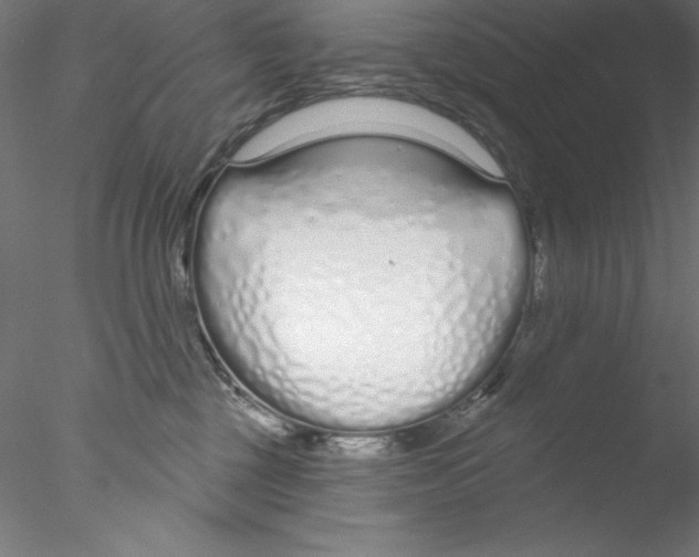 X0000076420377200611031820