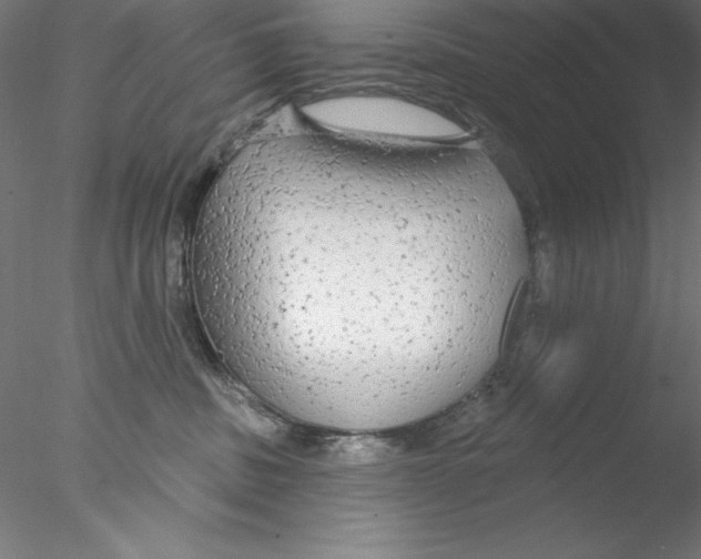 X0000076420379200611031820