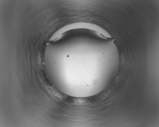 X0000076420380200611031820