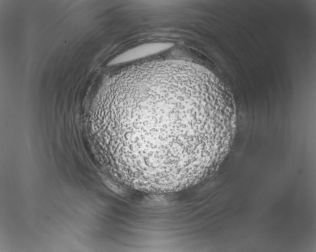 X0000076420381200611031820