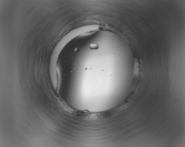 X0000076420382200611031820