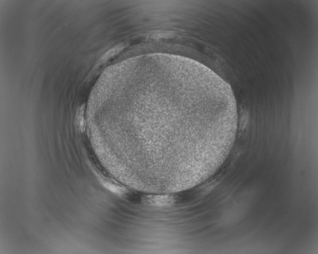 X0000076420383200611031820