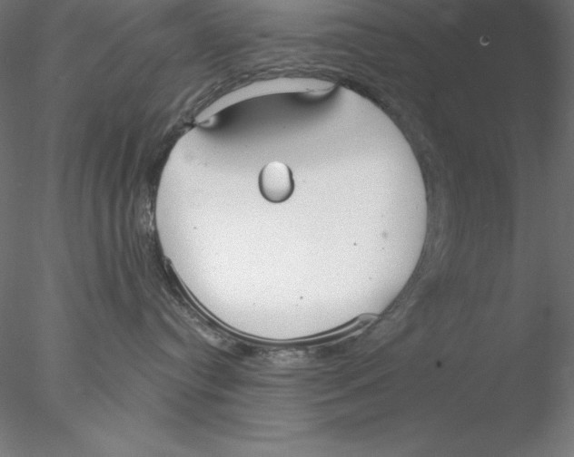 X0000076420384200611031820