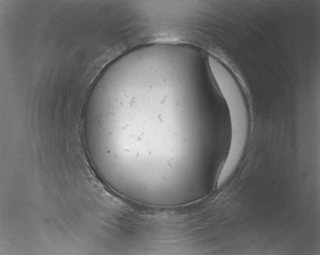 X0000076420385200611031819