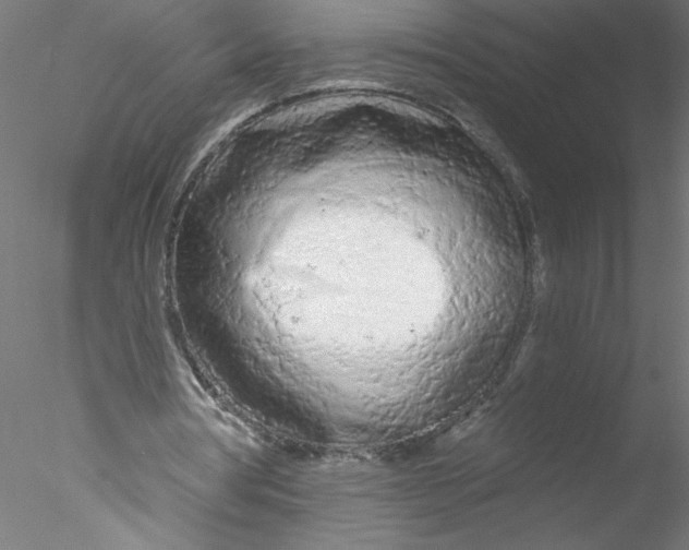 X0000076420386200611031819