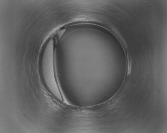 X0000076420387200611031819