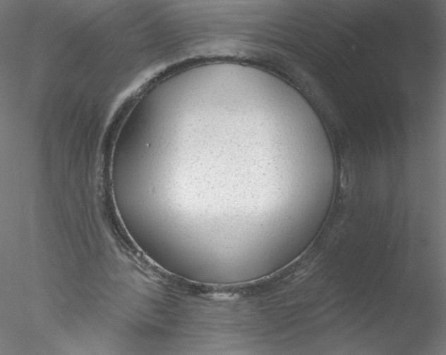 X0000076420388200611031819