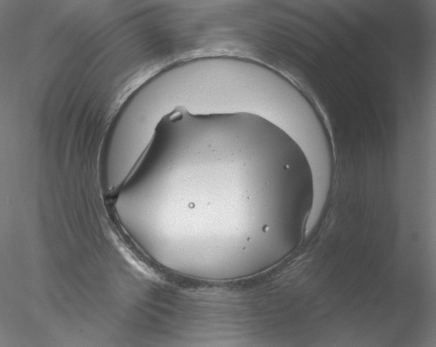 X0000076420389200611031819