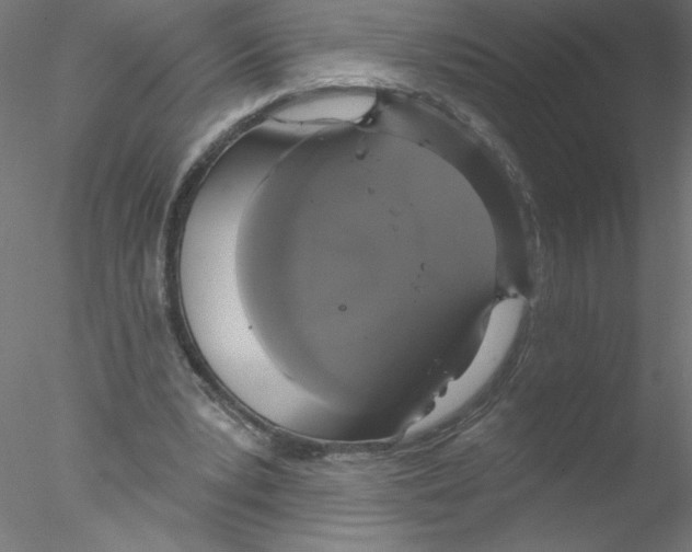 X0000076420391200611031819