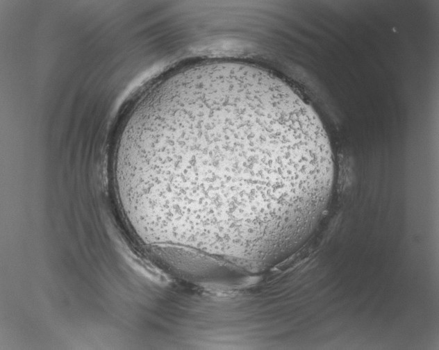 X0000076420392200611031819