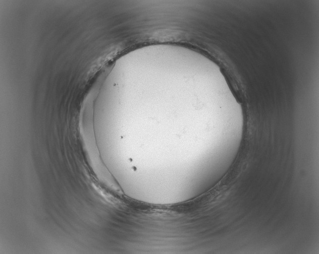 X0000076420393200611031819