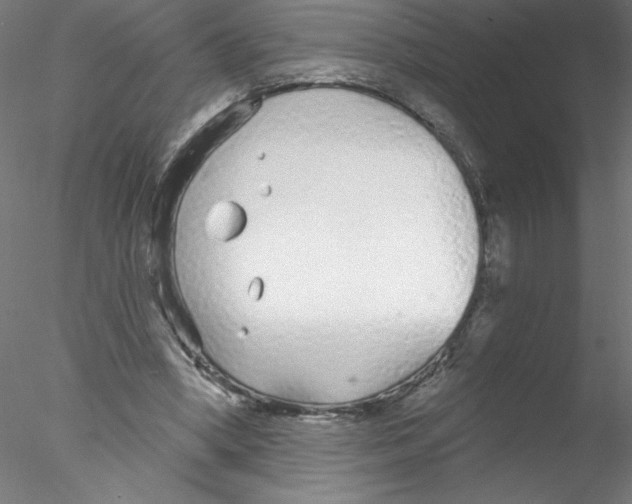 X0000076420394200611031819