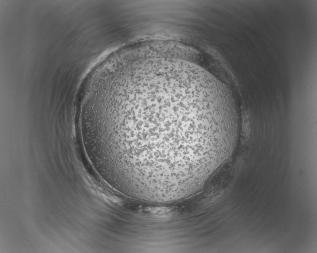 X0000076420395200611031819