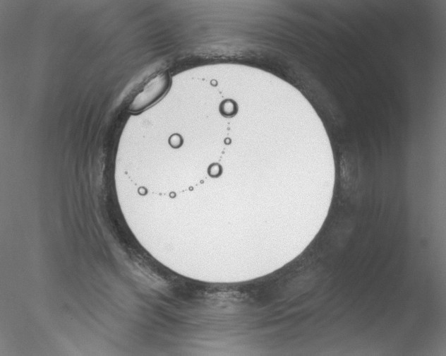 X0000076420396200611031819