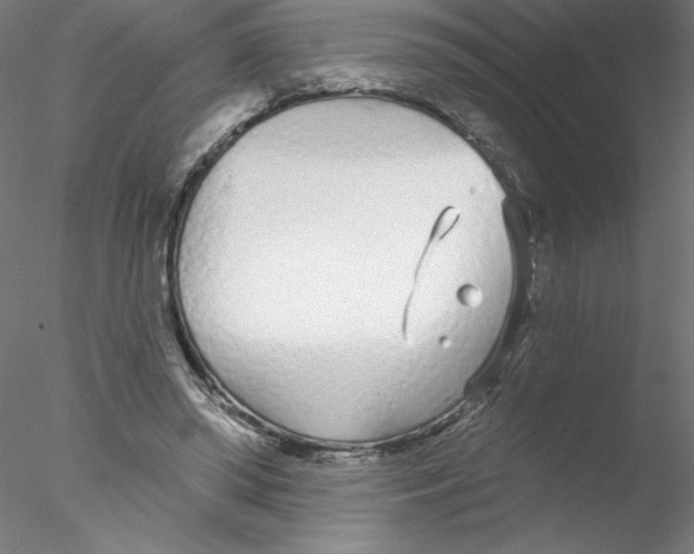 X0000076420398200611031819