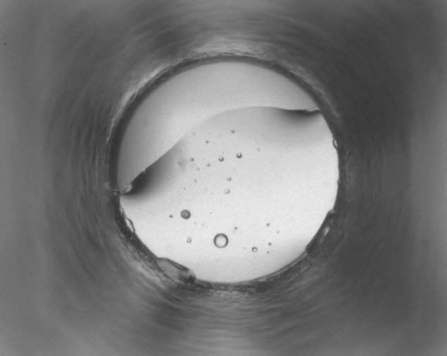 X0000076420399200611031819