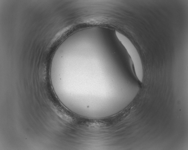 X0000076420400200611031819