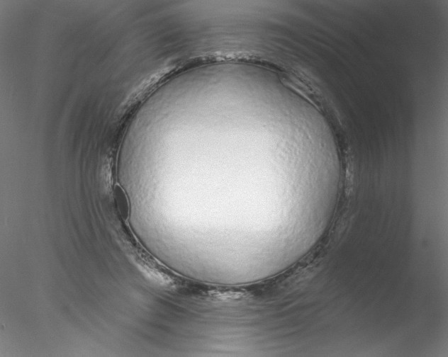 X0000076420401200611031819