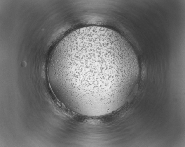 X0000076420403200611031819