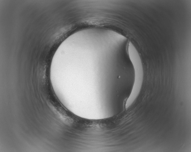 X0000076420404200611031819