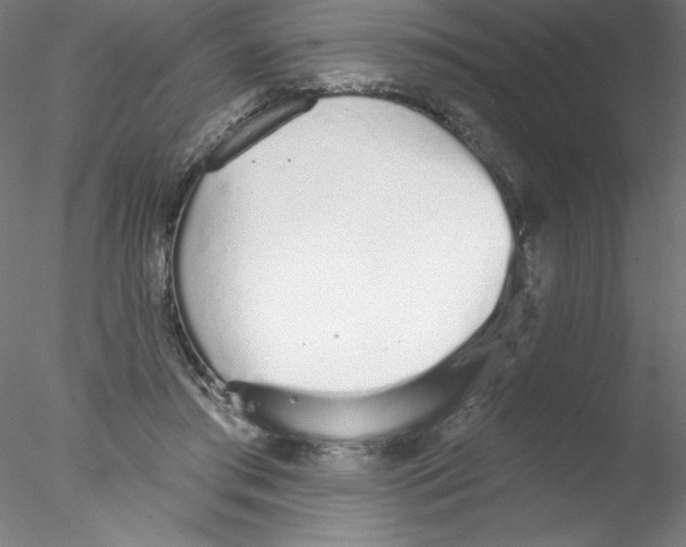 X0000076420405200611031819