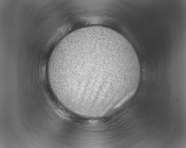 X0000076420406200611031819