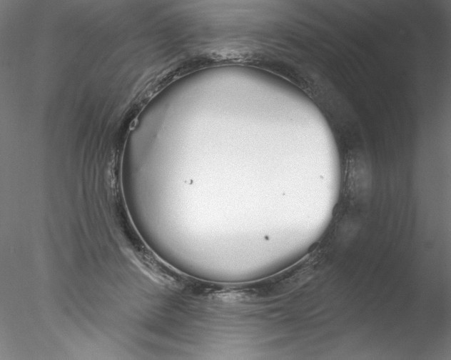 X0000076420408200611031819