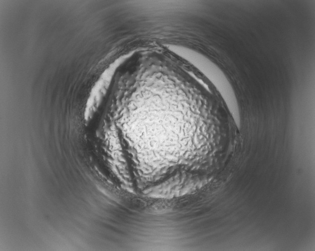 X0000076420409200611031819