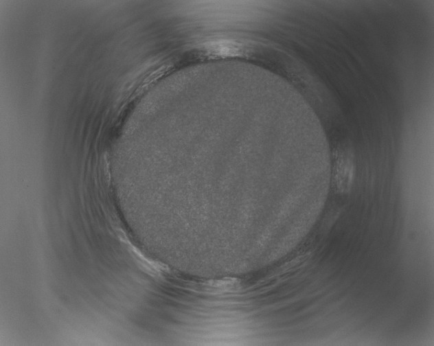 X0000076420410200611031819