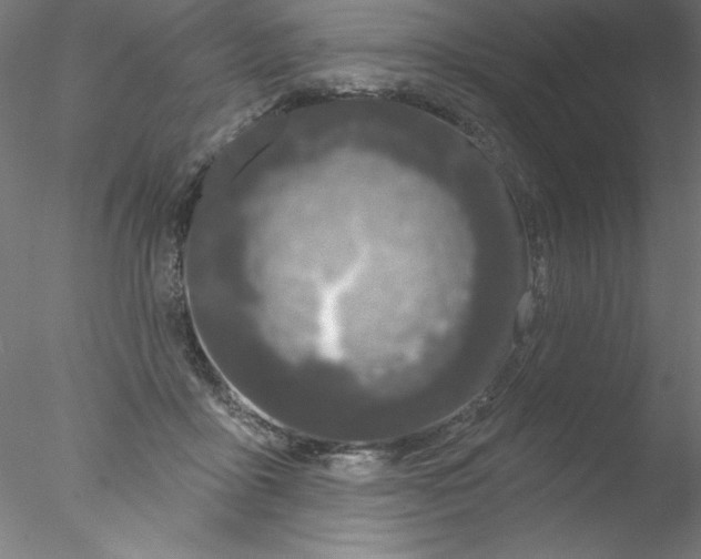 X0000076420411200611031819