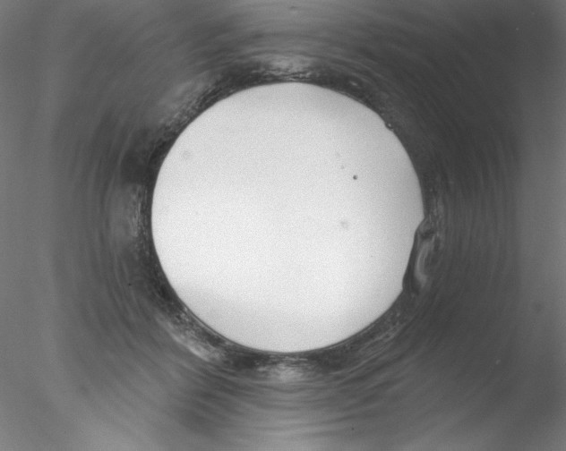 X0000076420412200611031819