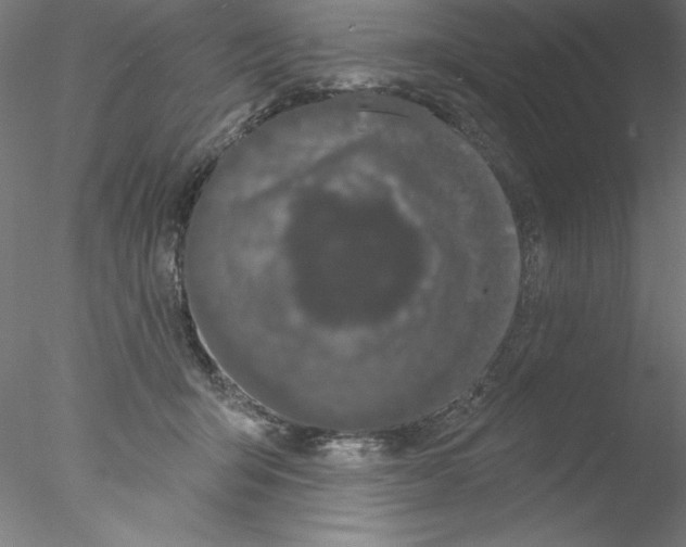 X0000076420415200611031818