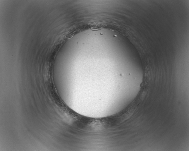 X0000076420416200611031818