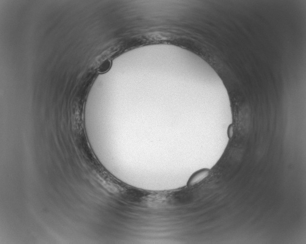 X0000076420418200611031818