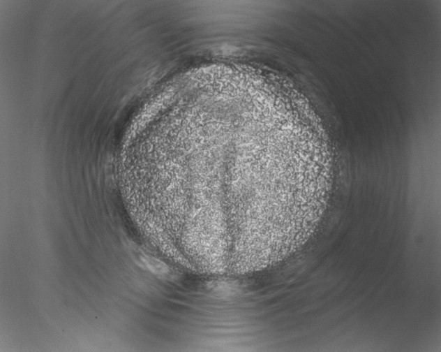 X0000076420419200611031818