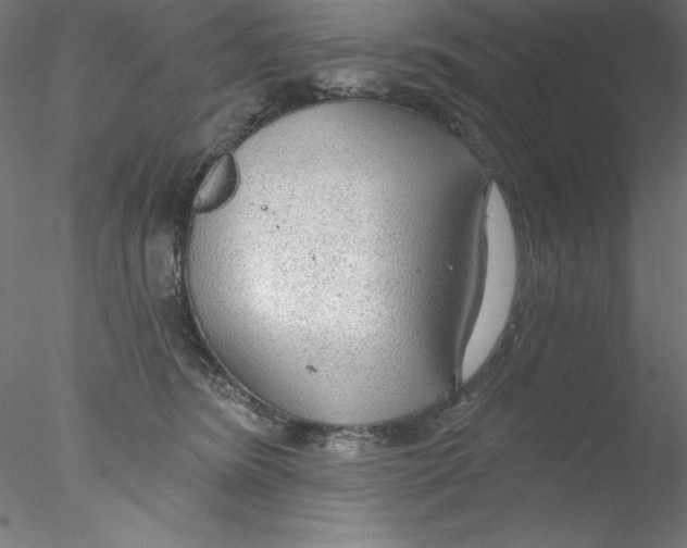 X0000076420420200611031818