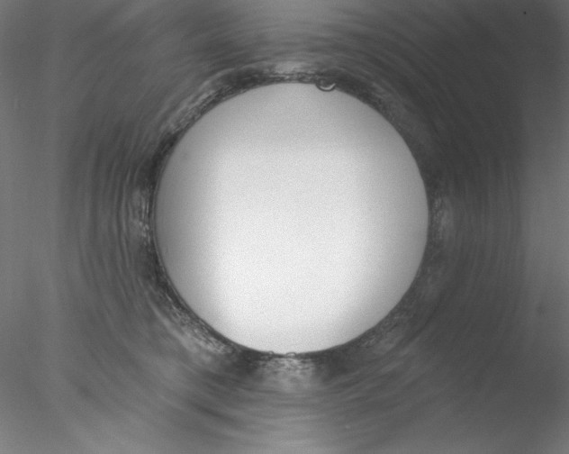 X0000076420421200611031818