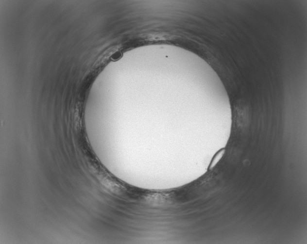 X0000076420422200611031818