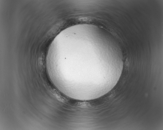 X0000076420424200611031818