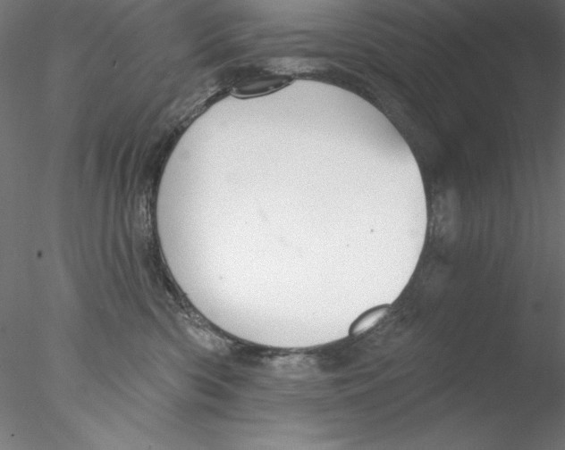 X0000076420426200611031818