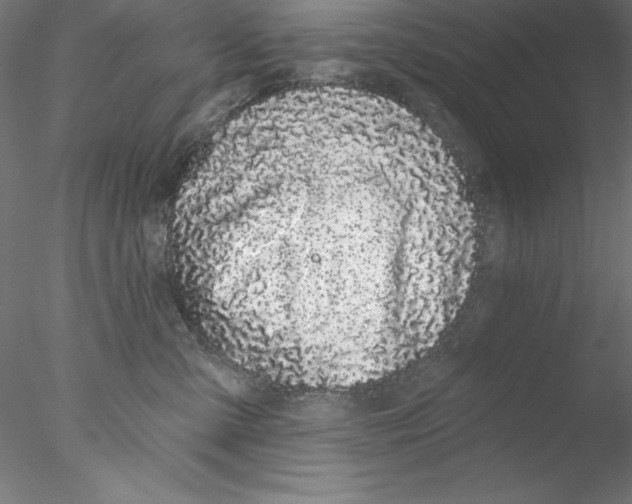 X0000076420427200611031818