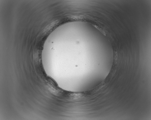 X0000076420428200611031818