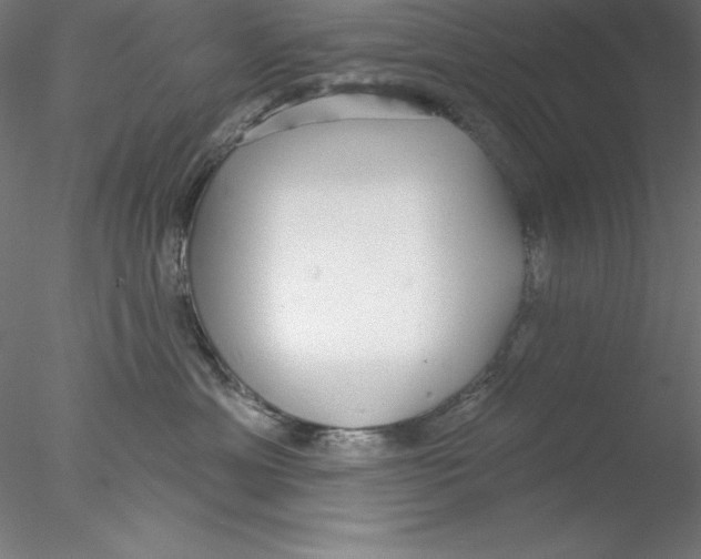 X0000076420429200611031818