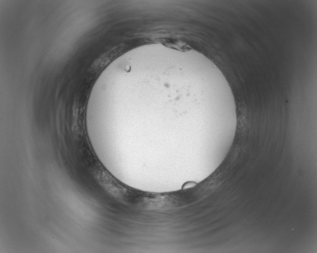 X0000076420430200611031818