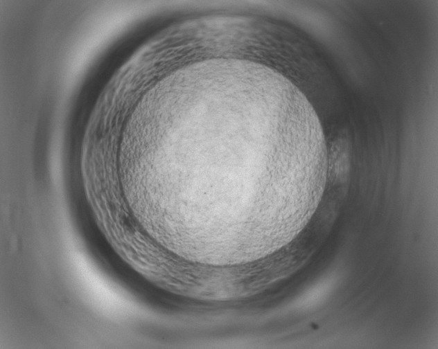 X0000076420431200611031818