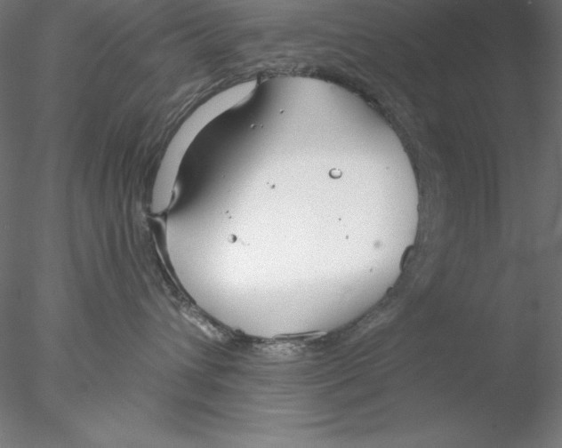 X0000076420432200611031818