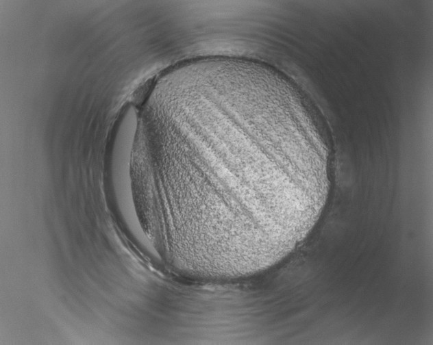 X0000076420434200611031817